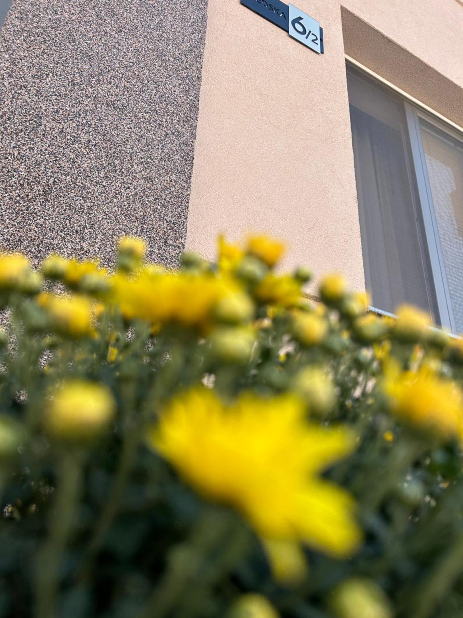 Apartman Tara Subotica Exteriér fotografie